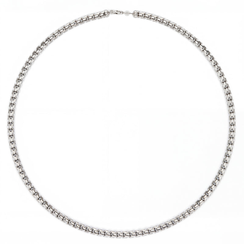 Raina | White Gold Franco Chain