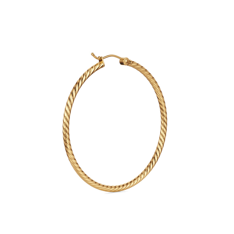 Preyasi | Gold Hoop Earrings