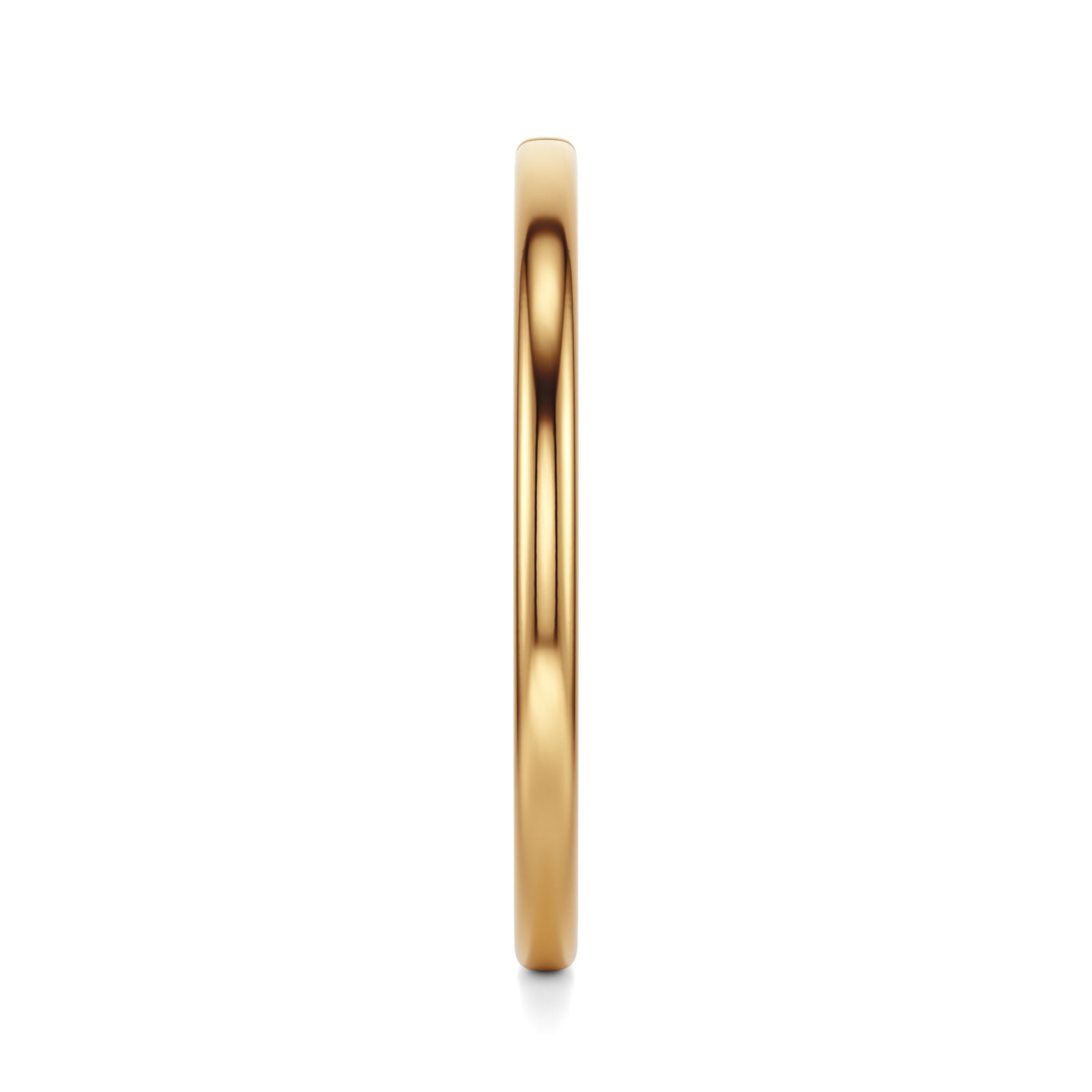 Saral | 18k Gold Nose Hoop