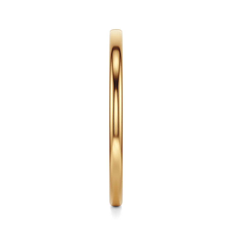 Saral | 18k Gold Nose Hoop